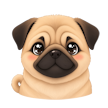Pug